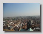 DSCN0881